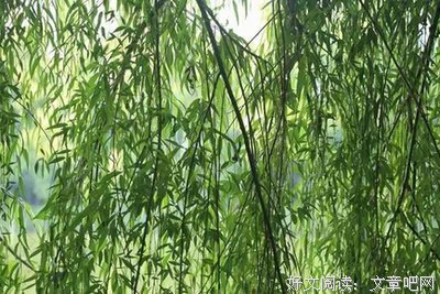 回忆太沉重 相见样想没想是太网匆匆的优美句子