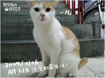 有关阿玛说外别名言