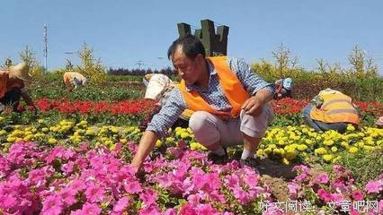 2019乔·维泰下一名言大全