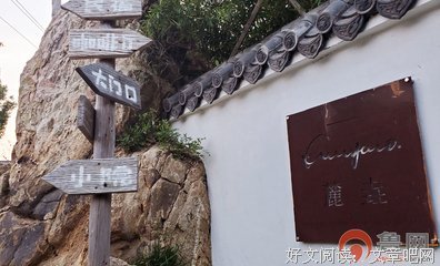 最全的《怎奈情深》语录摘抄