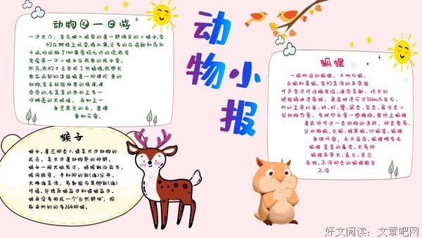 《跳出猴子思维》读后感100字