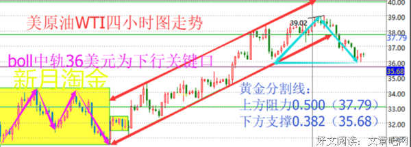 《长长的回廊》读后感精选