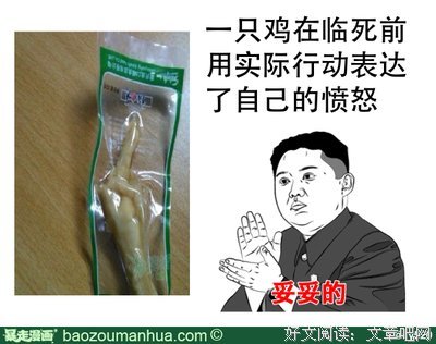 《哆哆嗖嗖啦啦嗖》经典影评集