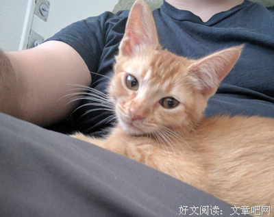 《再见仍是朋友》影评精选