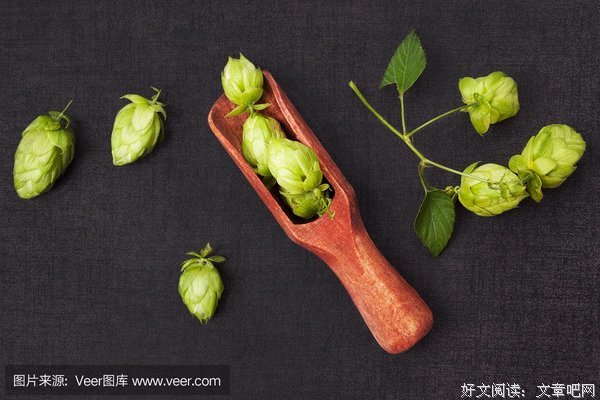 《荷尔蒙2》影评精选