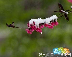 啵啵哒的优美句子