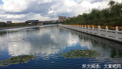 关于偶遇 佳句的句子