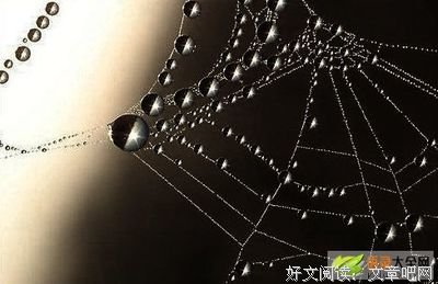 静默如迷的句子