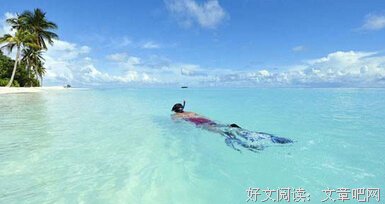 关于心有猛虎，细嗅蔷薇的句子