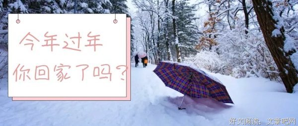 今年大人气的“冷感餐具”，倒入冷酒就会开出粉色的樱花！