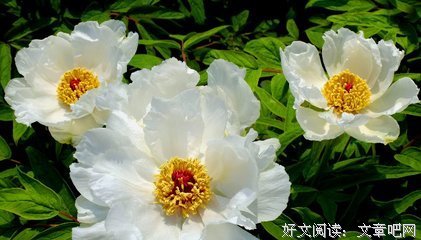 最全的扬帆名言警句