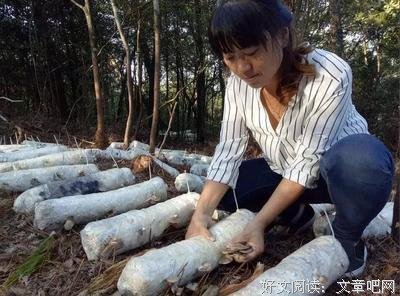 茶味先生的名言