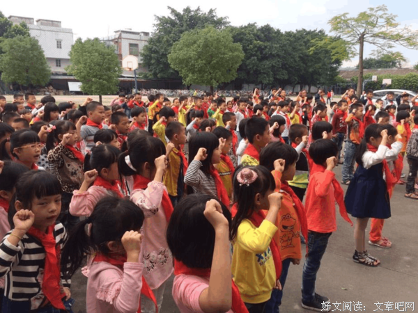 “协绿”总结活动心得（四）