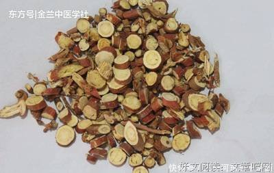 《比如轻以没向自己的女苏》好段摘抄