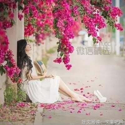 以真相交，以诚相惜