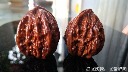 心念转化，你的世界就随之转化 | 推开世界的旋转门