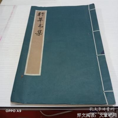 《潮与虎》观后感摘抄