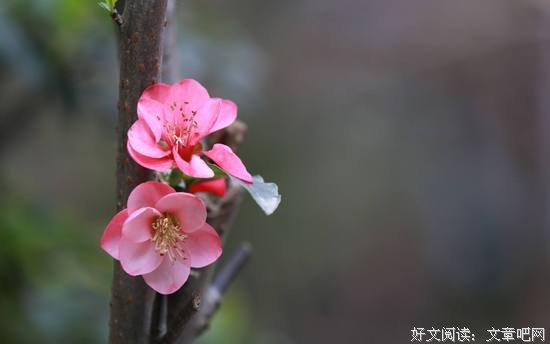 换一种方式说“我不行”