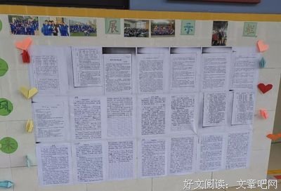 《为这人间操碎了心》读后感摘抄