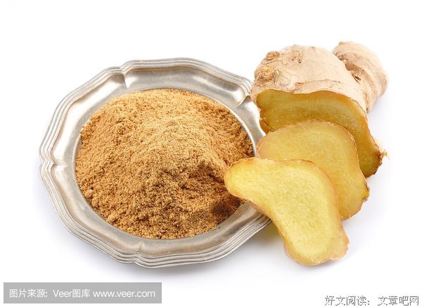 不东的读后感大全