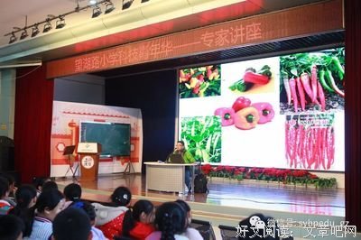 《创意，未来的工作方式》读后感1000字