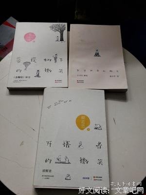 《开悟者的微笑：禅解密》读后感锦集