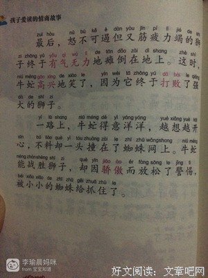 牛虻的读后感大全