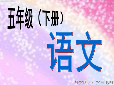 少年维特的烦恼读后感100字