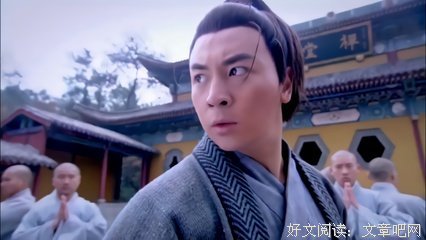 《武林猛虎》经典影评1000字