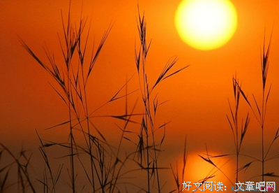 描写体无完肤的语句摘抄