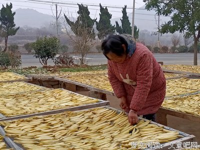 中国文化地理概述读后感1000字