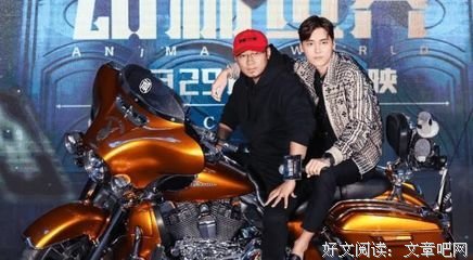《小丑之见》读后感100字