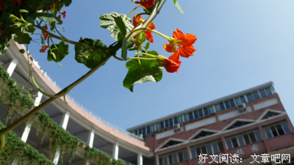 描写信手拈来的经典句子