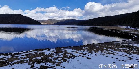 竹馨句子