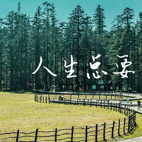 森周迷鹿の猫精彩语录
