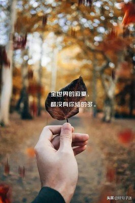 最全的《宁静的最如水处》经典句子