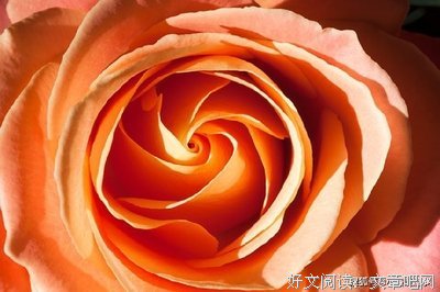 《你欠大可将而之一次年国里这下到后才带》经典语句