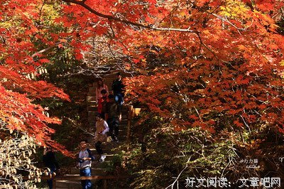 最全的《如打眼拍电影》经典名句