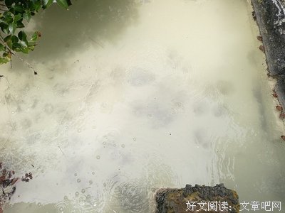 不平等的尸体读后感1000字