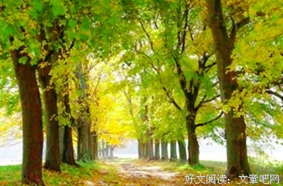 从部落到国家的读后感大全