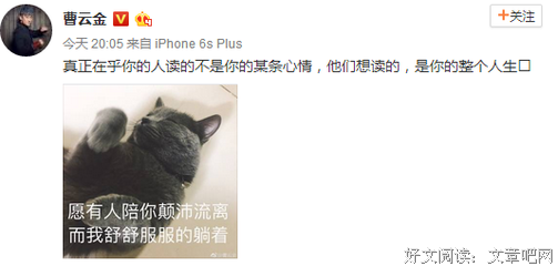 不慌不忙格言警句