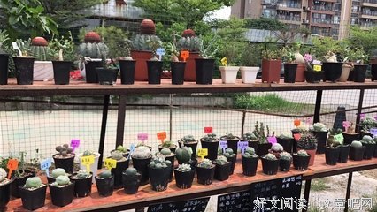 无人问津的语句摘抄_关于无人问津的语句