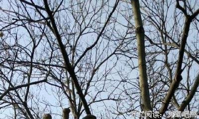 徐志摩全集（全十卷）读后感1000字