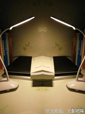 醒来集读后感精选