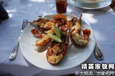 《明娜》读后感精选