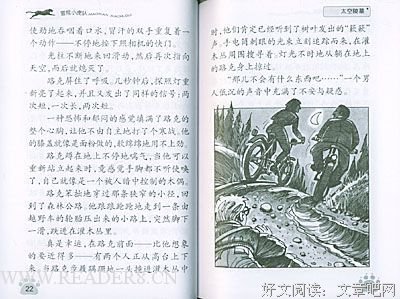 《冒险小虎队》读后感100字