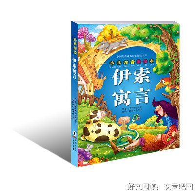 《雨天的海豚们》经典读后感有感