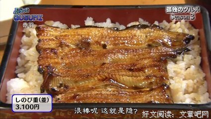 《孤独的美食家 第四季》经典影评集