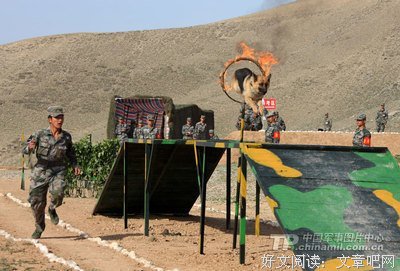 无言以对格言警句