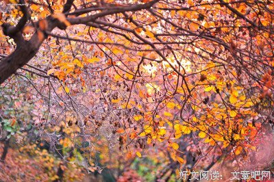 恨煞经典读后感有感